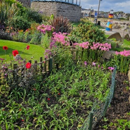 schottland rundreise 2023_46